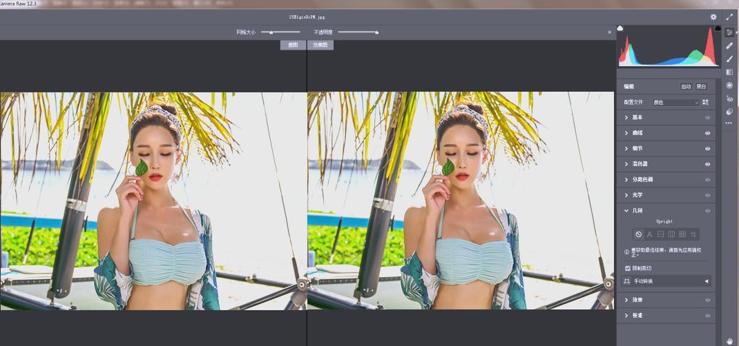 RAW处理Adobe Camera Raw v18.3.2中文版-蓝盒资源网